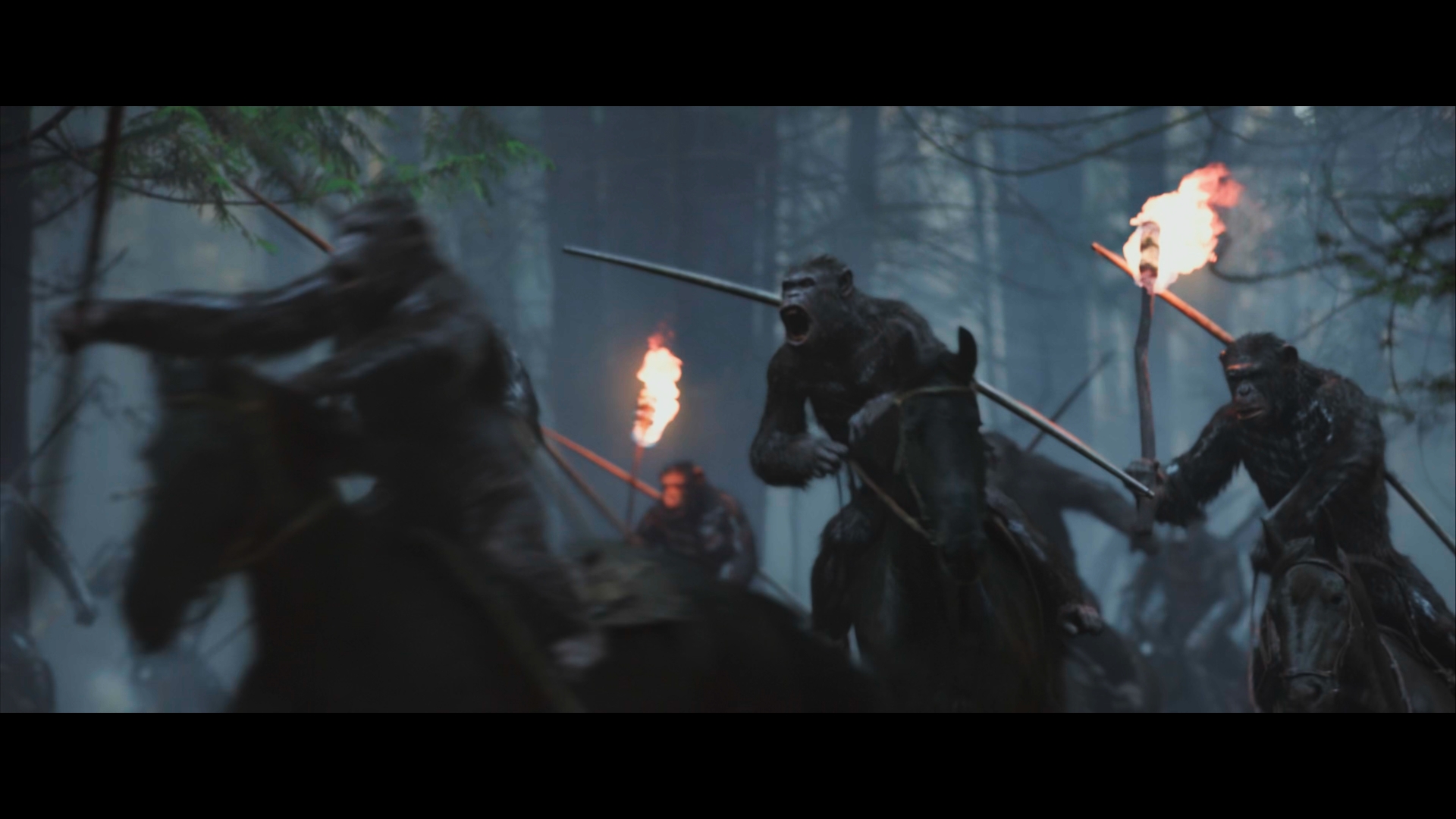 Still 2025 11 01 162152 1.9.5